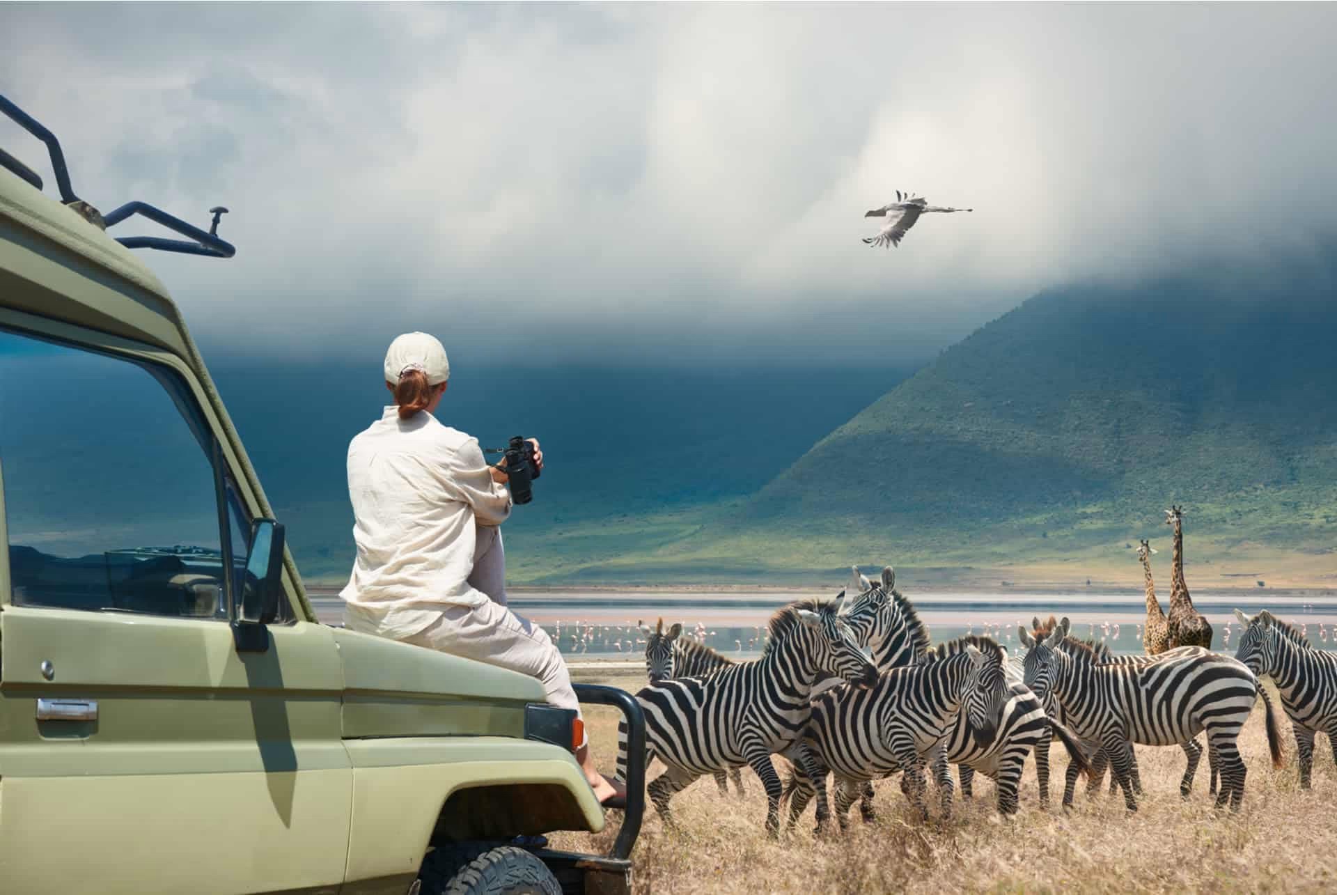 prix d un safari