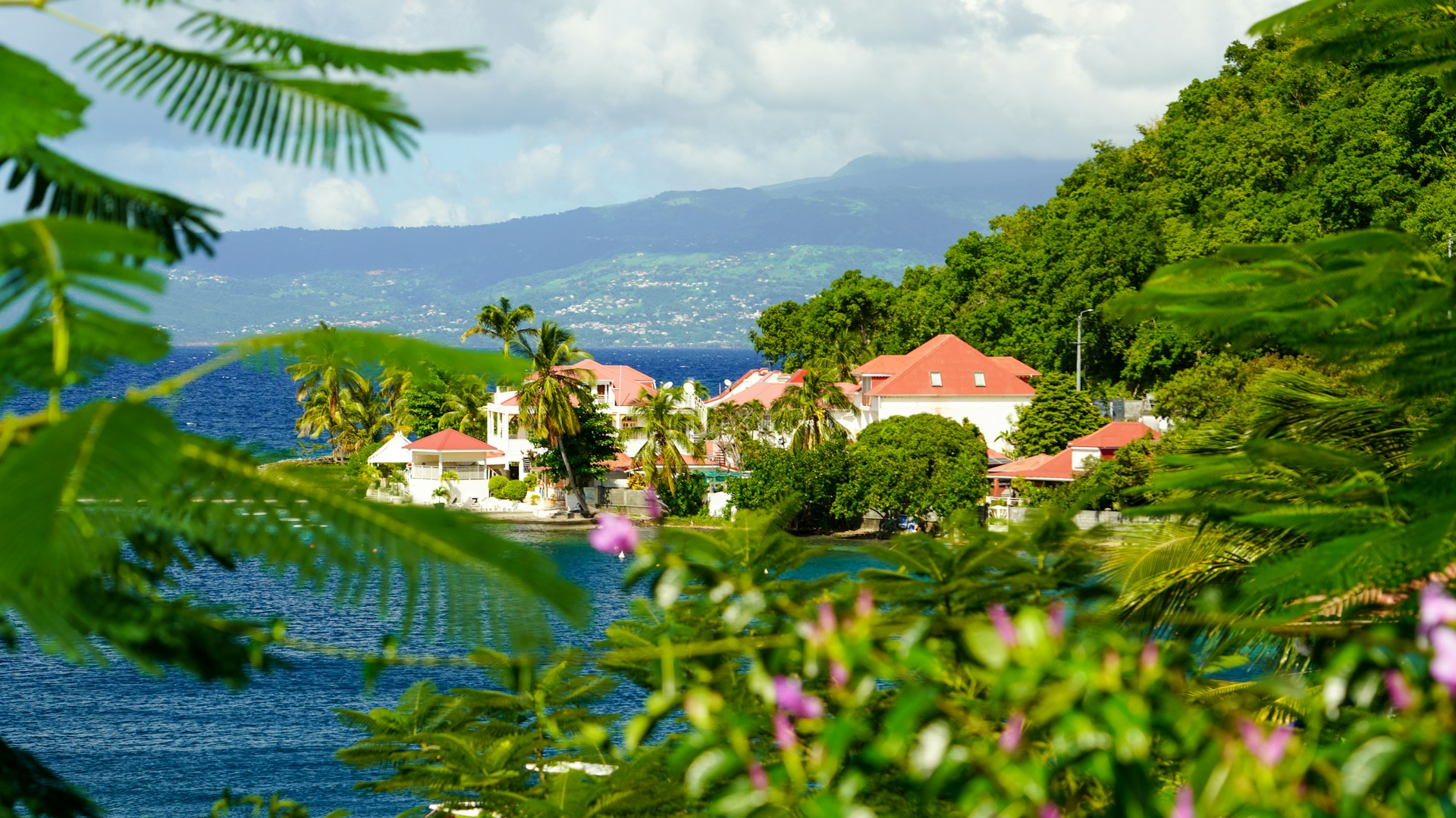 martinique ou guadeloupe