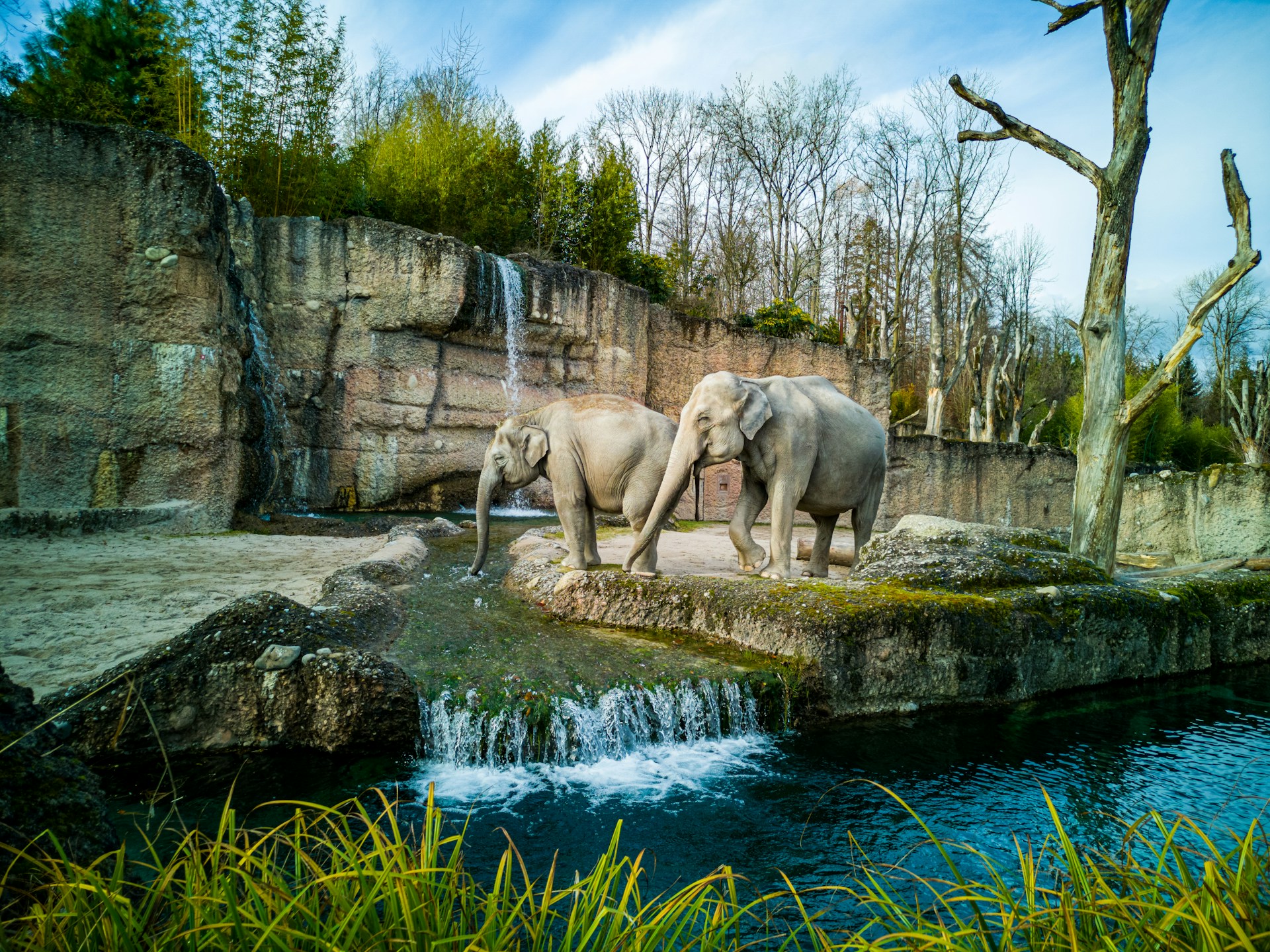 Plus grand zoo du monde le vrai classement 2025 — free download