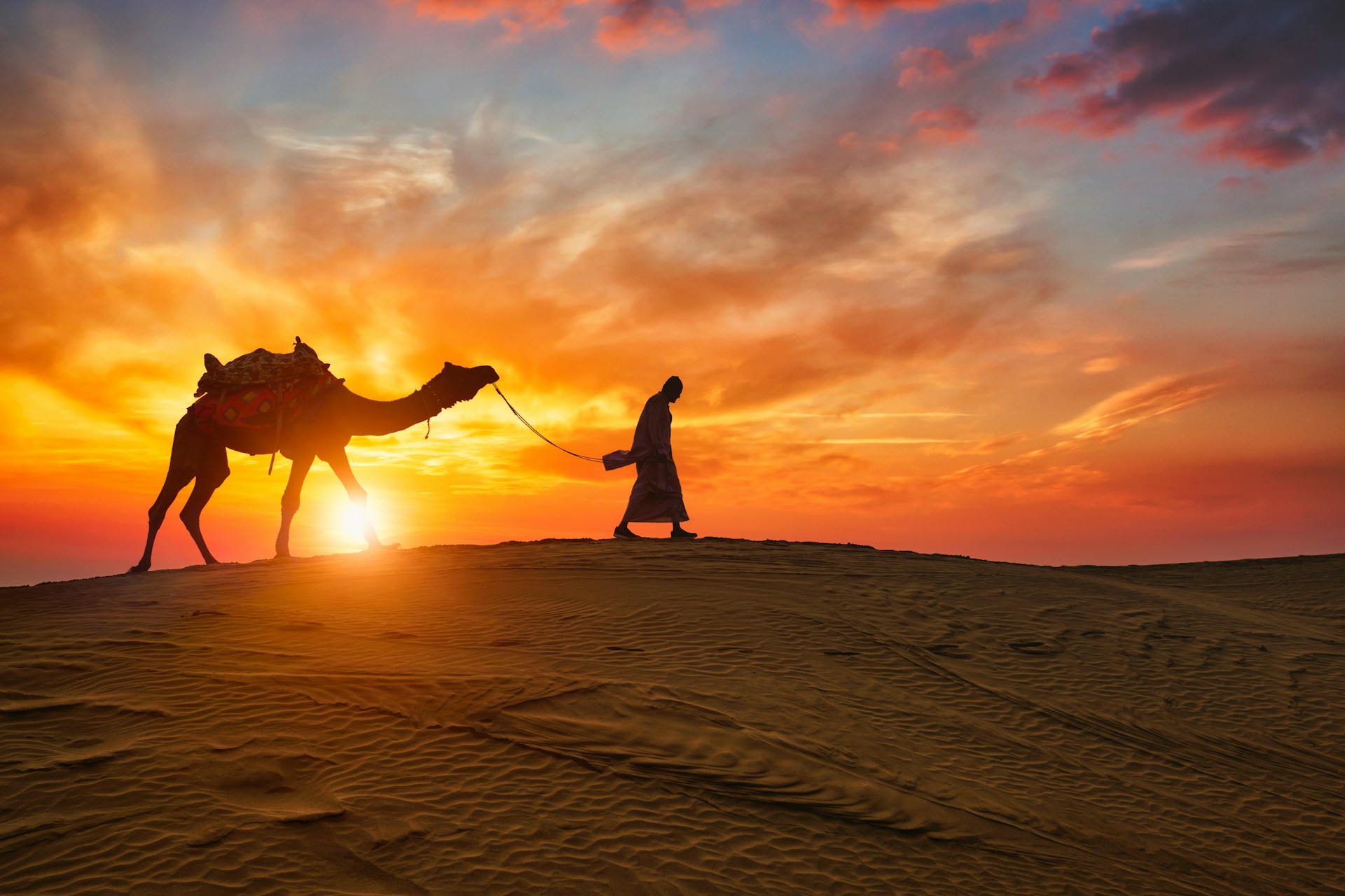 voyage rajasthan 15 jours