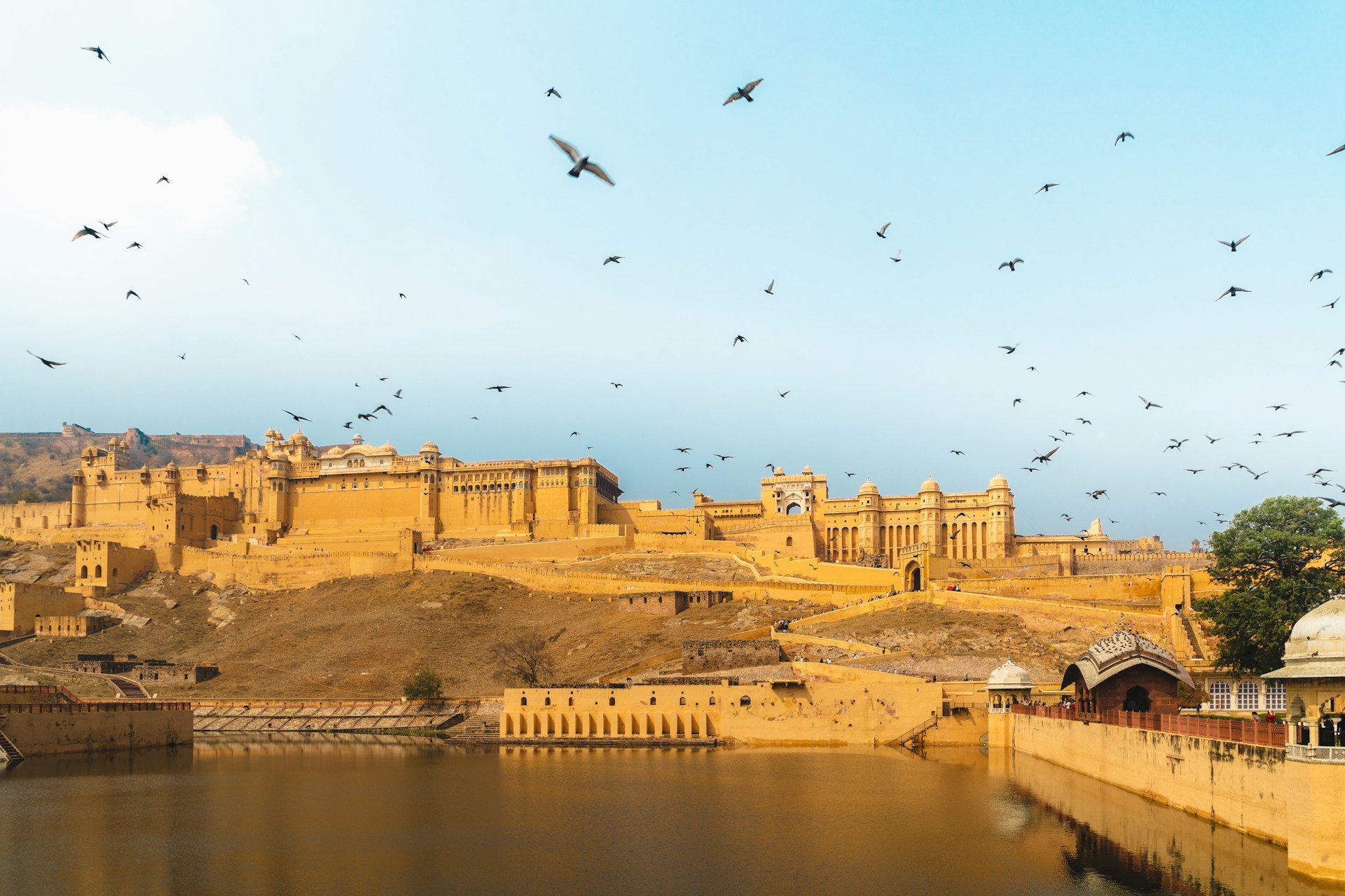 circuit rajasthan 15 jours