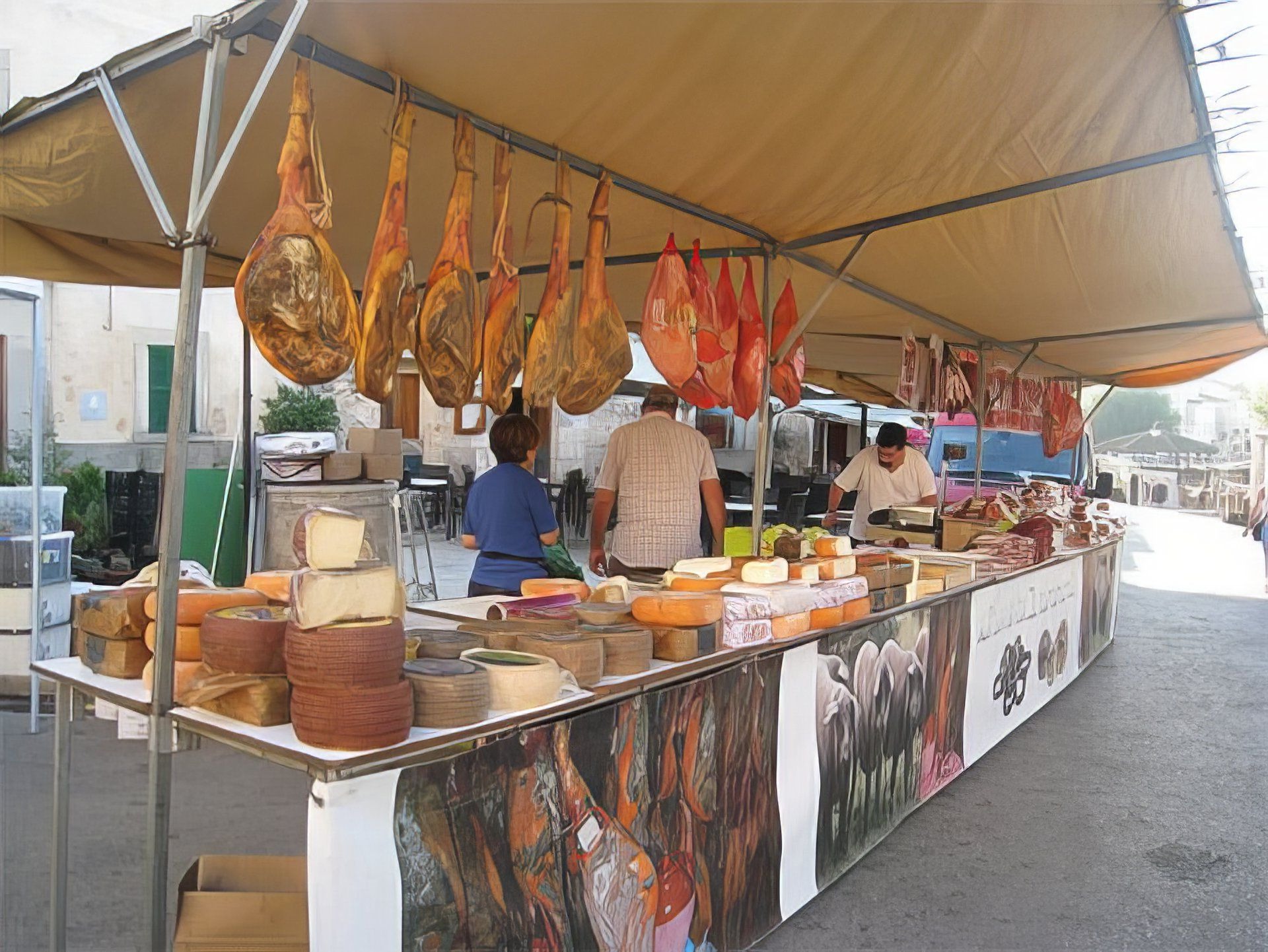 sineu majorque