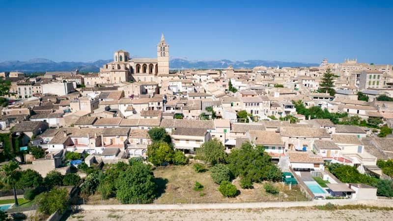 sineu