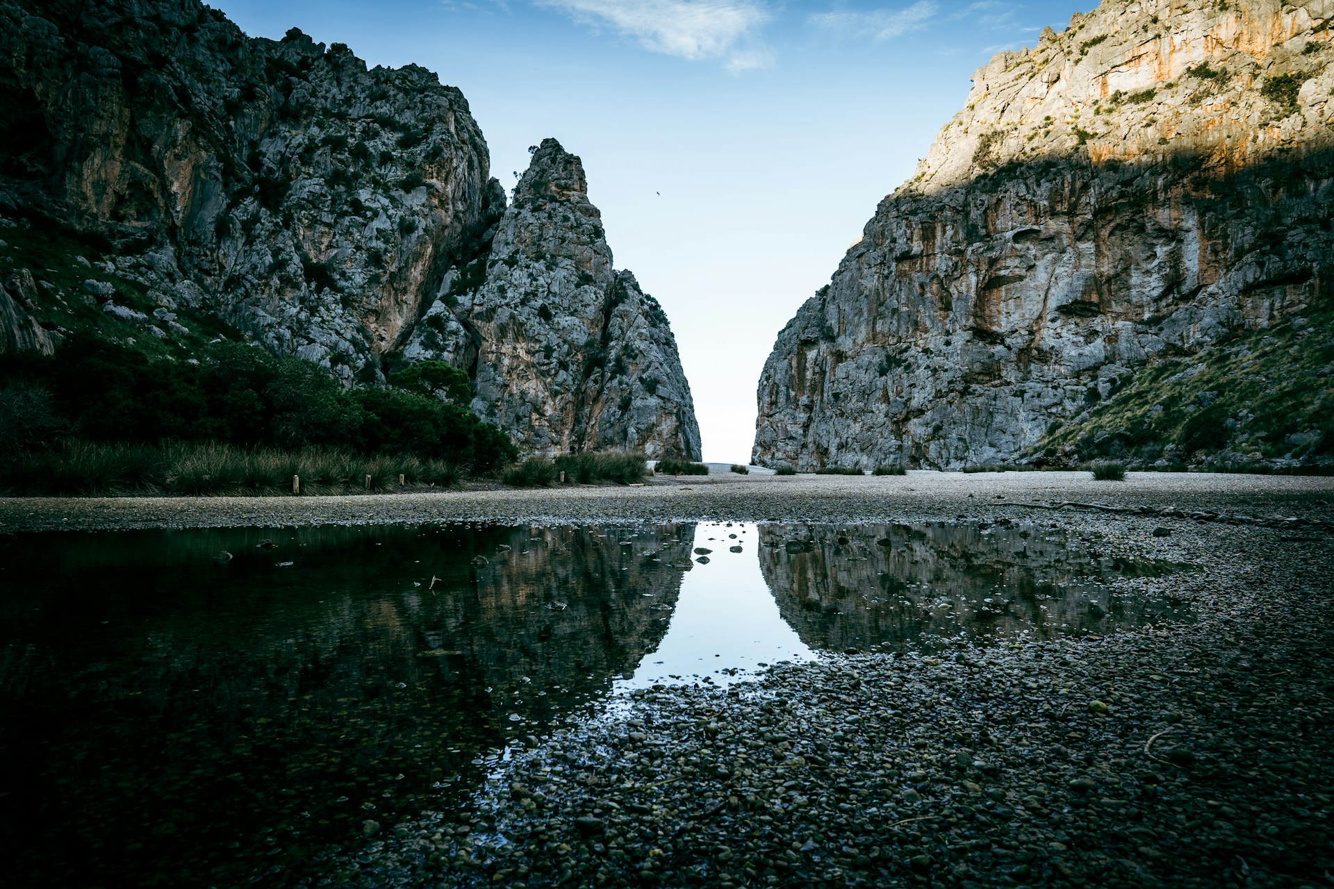 pareis pareis