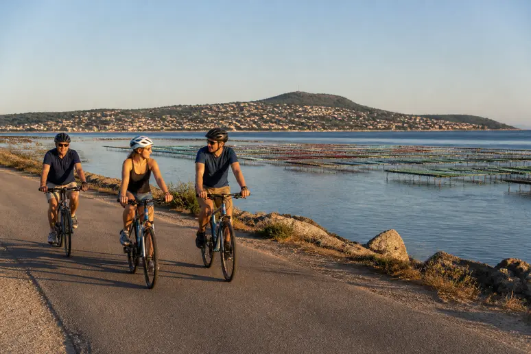 Cyclistes explorant les environs de Bouzigues le long de l'Étang de Thau.