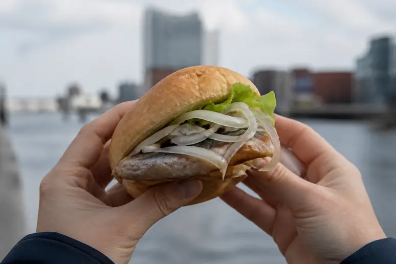 Dégustation d'un authentique Fischbrötchen à Hambourg, saveur marine.