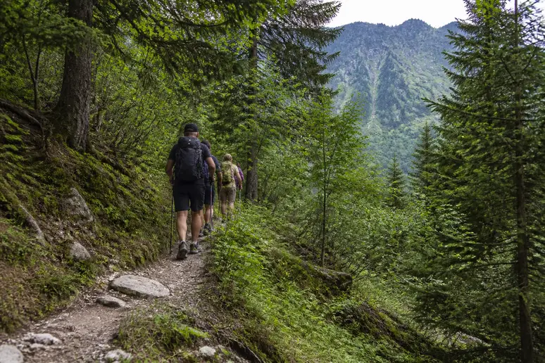 Randonneurs marchant sur un sentier balisé en forêt lors d'une excursion dans le Bugey