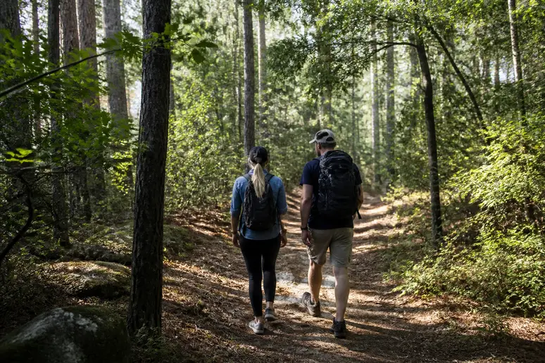 Randonneurs marchant sur le sentier forestier ombragé menant à la cascade de sillans