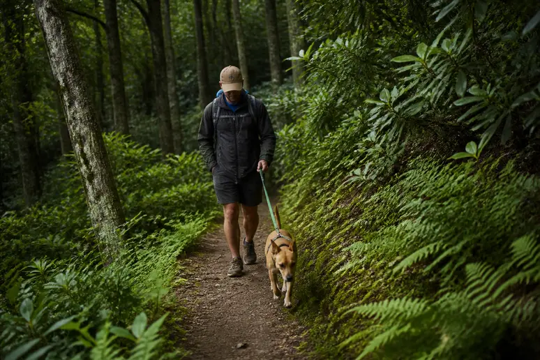 Randonneur marchant avec son chien en laisse sur un sentier boisé du Jura.