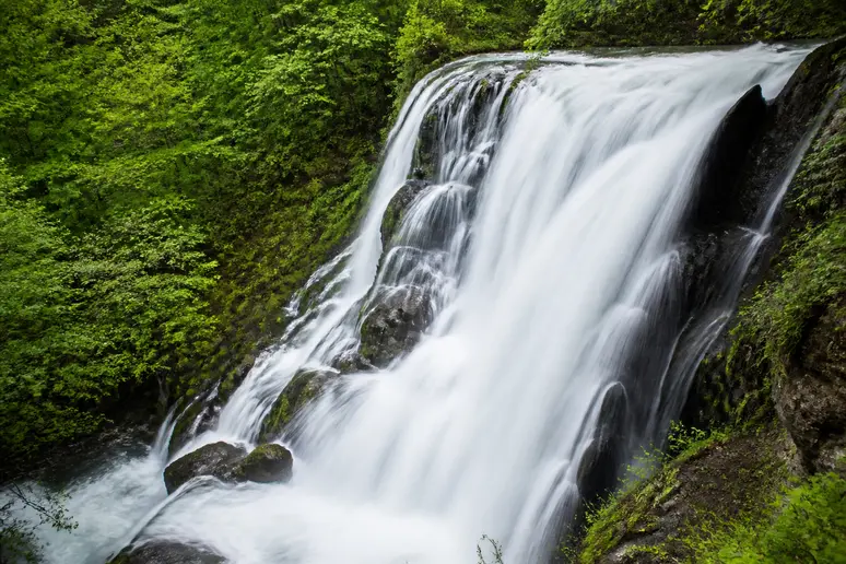Puissante cascade s'écoulant sur des rochers moussus dans une forêt verdoyante au printemps