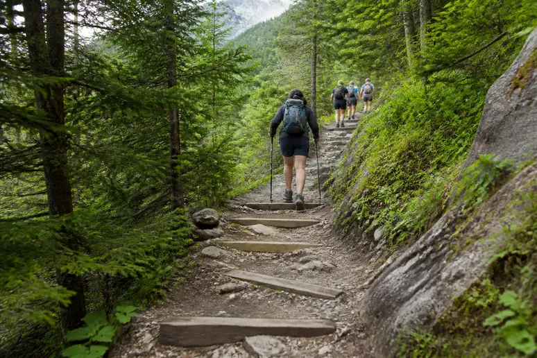 Sentier forestier sinueux avec des marches en bois irrégulières menant à la cascade du Ray-Pic.