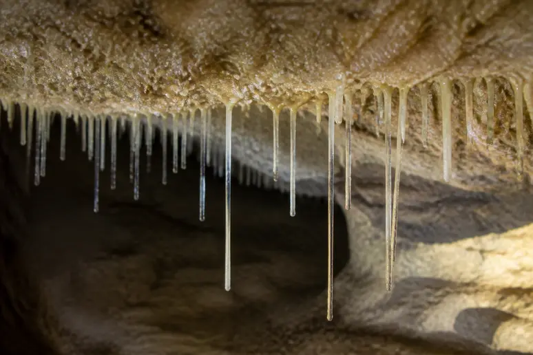 Fines pailles de calcite cristallines et stalactites fragiles observées dans la grotte de choranche