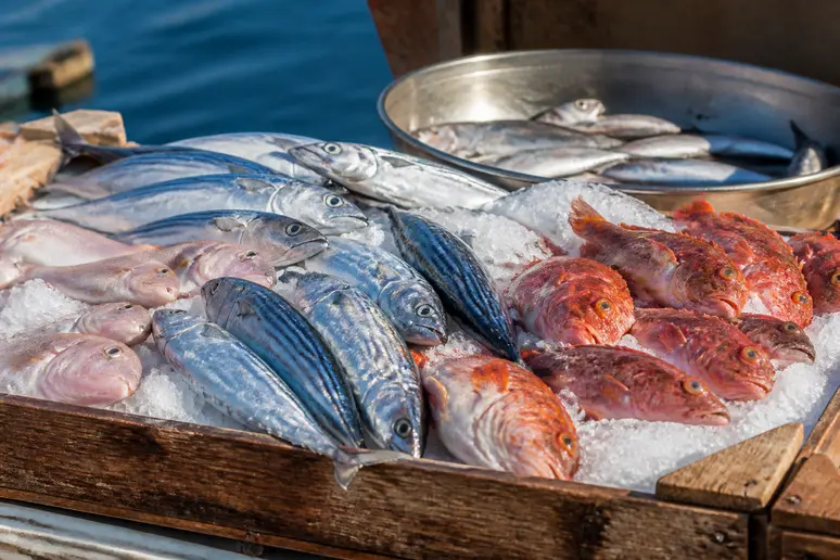 Poisson frais étalé sur la glace d'un stand de pêcheurs sur le port de Sanary.