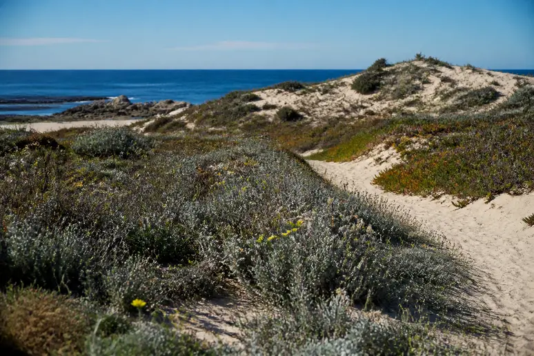 Rivages de Corbara et dunes protégées bordant la côte en Balagne