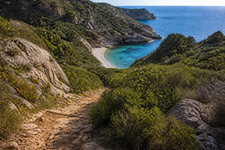 Sentier pédestre caillouteux descendant vers la plage de Ficajola dans les calanques