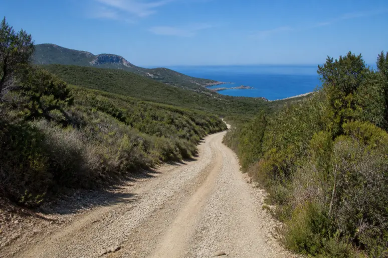 Piste en terre sinueuse menant à la plage de Tamarone à travers le maquis.