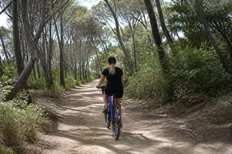 Cycliste empruntant une piste ombragée menant au littoral de l'île de Porquerolles